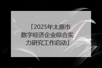 2025年太原市数字经济企业综合实力研究工作启动